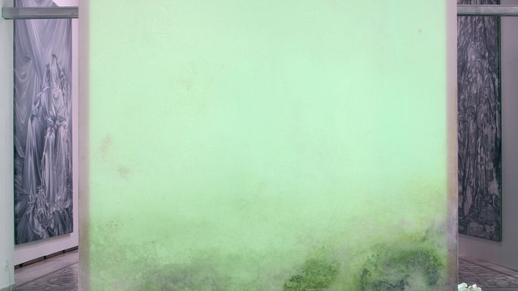 Microbiota av Alma Heikkilä (2016)