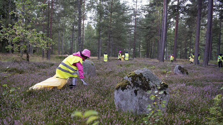Idrottsungdomar är lokala miljöhjältar när de engagerar sig i naturstädning