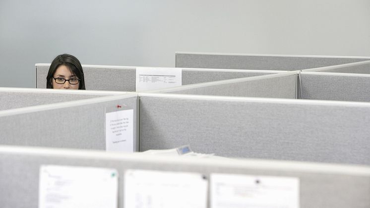 Ny arbetslivsundersökning från Novus och Sodexo: Jobba flexibelt lika viktigt som en bra chef