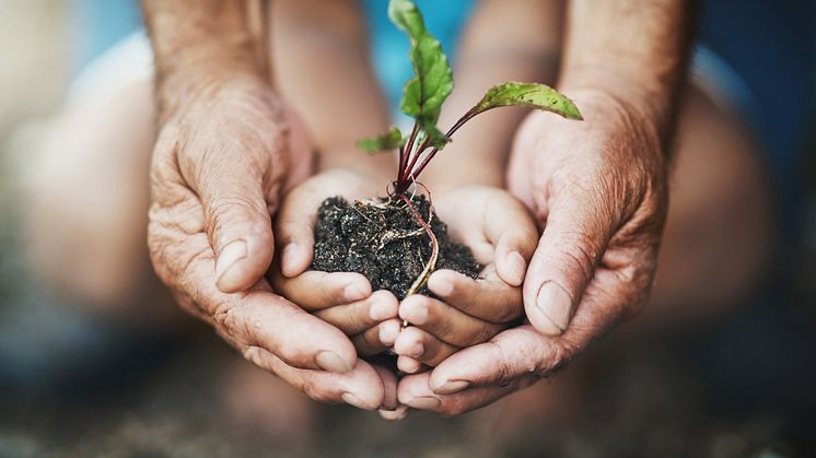 Klimabilanz 2021 erstellt: Gothaer ist auch in Hamburg, Stuttgart, Frankfurt, München und Nürnberg klimaneutral 