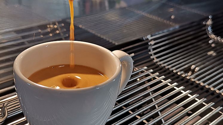 Kaffee in Porzellantasse (Foto: Lucas Didden)