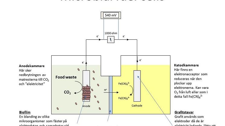 Elektricitet av matrester, modell