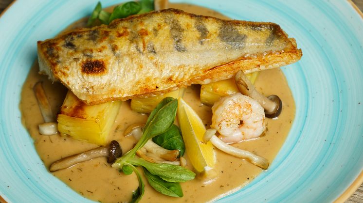 Looking tasty, but possibly contaminated: Swedes advised to avoid eating pikeperch regularly from Lake Mälaren close to Stockholm due to PFAS contamination (Credit:Simon Attila Daniel  Stock photo ID:1488630744)
