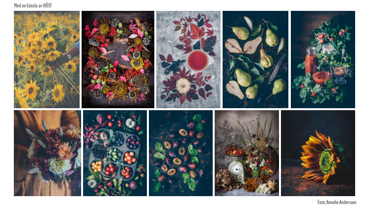Fotokollage årstidsbilder ur boken Blomster & Bakverk