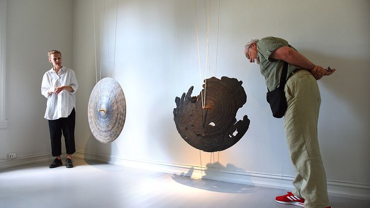 Documentation of the opening (Kjeldgaard)