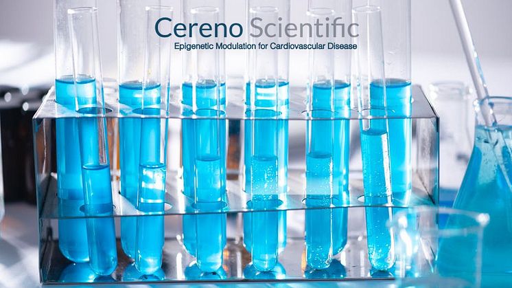 Cereno Scientific erhåller rättigheter att inlicensera en preklinisk kandidat från University of Michigan genom ett optionsavtal