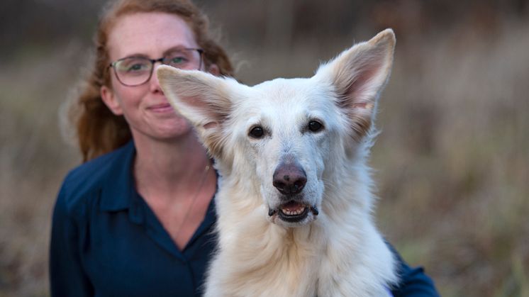 Dis är Årets sociala tjänstehund 2019