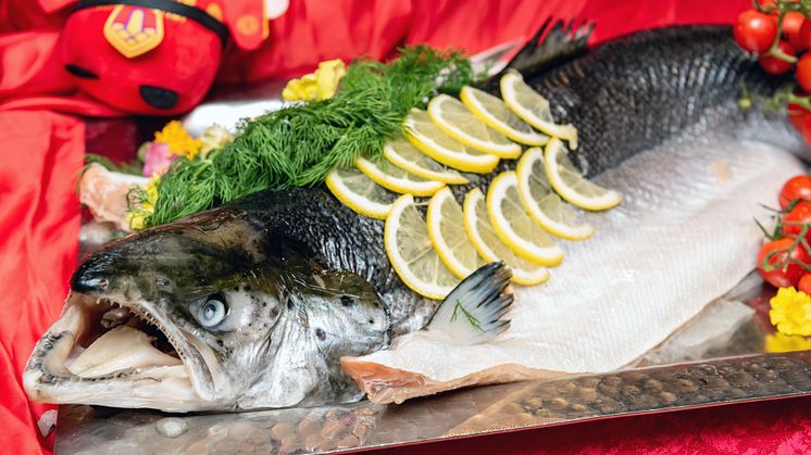 DSC_2106 - Fish