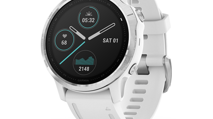fenix6S_HR_1000.1.png