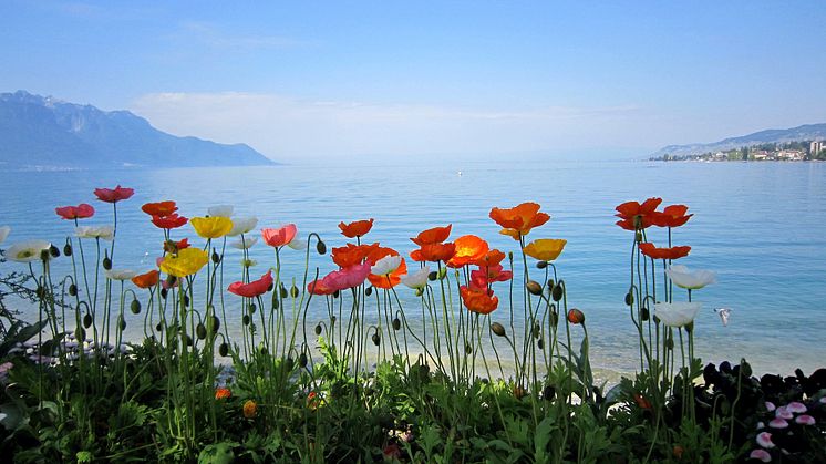 QuaisFleurisMontreux(c)MilnerHunziker 