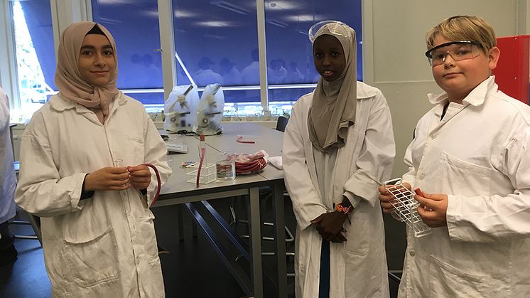 Elever från Erlaskolan Södra som valt "NO-labb" på "elevens val" .