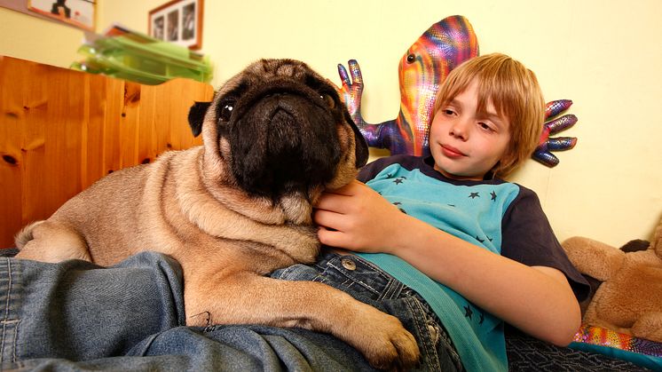 Junge mit Hund 2