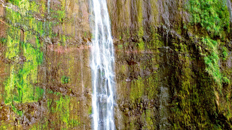 Hawai'e - Oplev paradiset