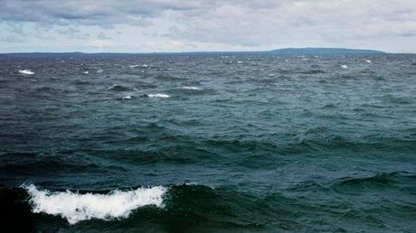 HaV stänger laxfiske i Östersjön - kvoten är uppfiskad