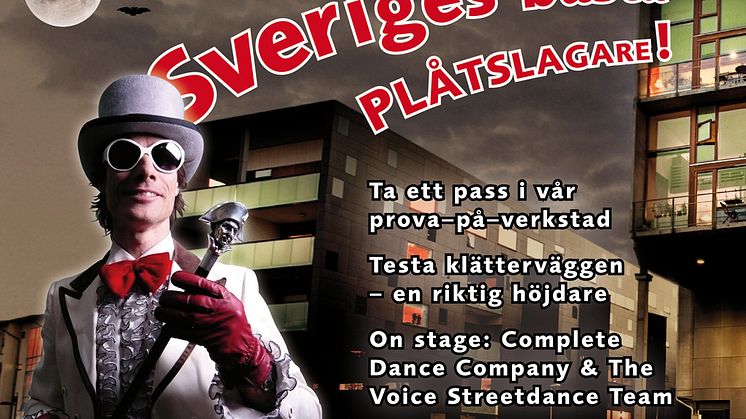 SM för unga plåtslagare 2010 - affisch