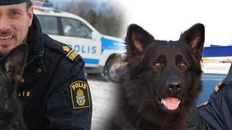 Izor och Puck blev Årets polishund(ar)