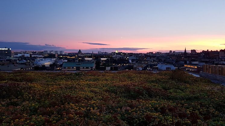 360 graders utsikt från Urban Deli Sveavägens tak. 