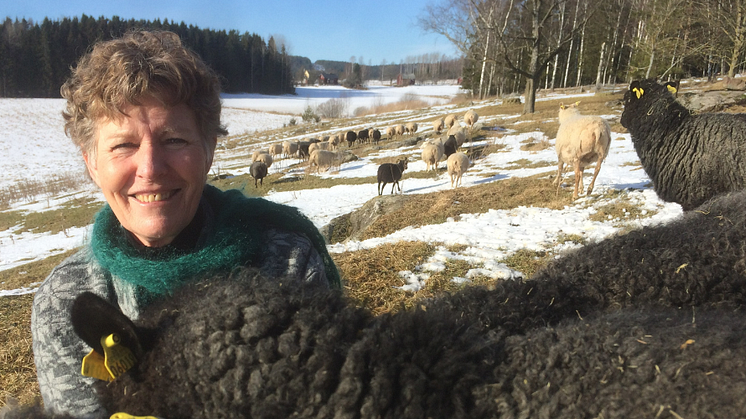 Karin Granström, husdjursagronom, får Kungl. Skogs- och Lantbruksakademiens landsbygdsstipendium
