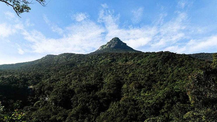 Adam's Peak