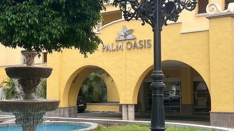 Palm Oasis