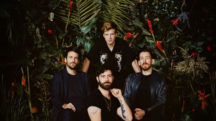 Foals