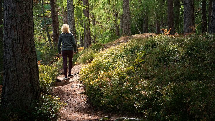 vandra_1200x650px_maj232