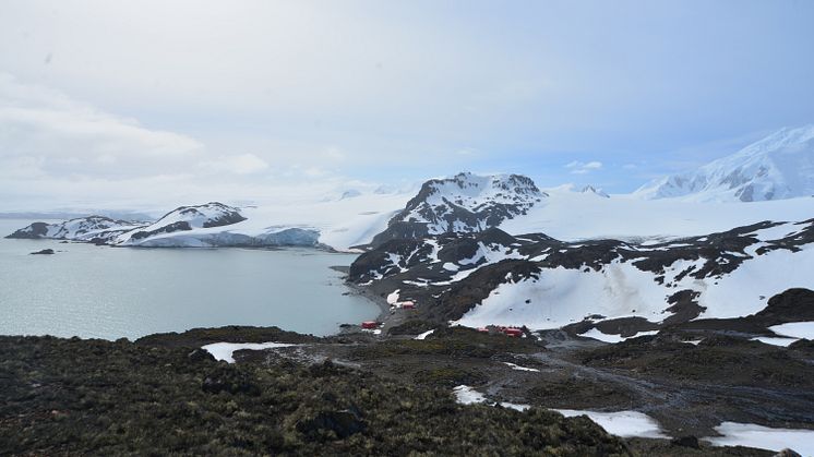 Översikt över Livingston Island där lavarna till denna studie samlades in. Foto: Claudia Colesie