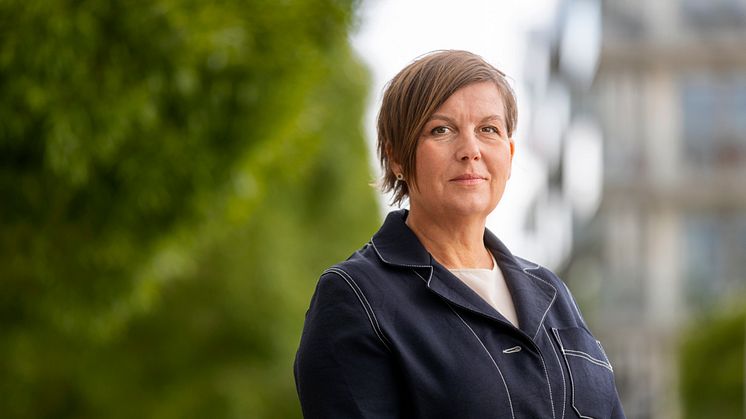 Anna Espling Rolf, LINK Arkitektur