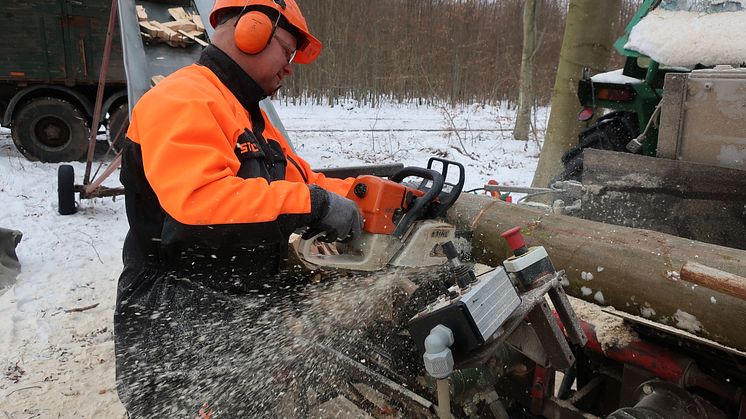 Hjertet i savværket - en STIHL MS 361