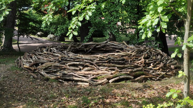 Land Art Sofiero, Team Polen