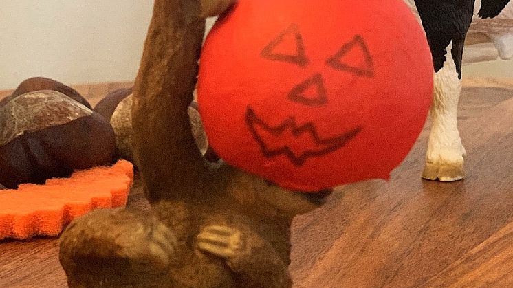 Halloween sloth