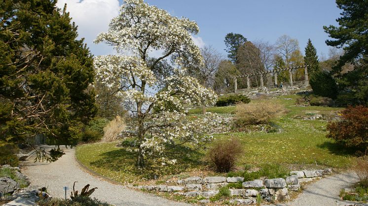Botanischer Garten Lausanne