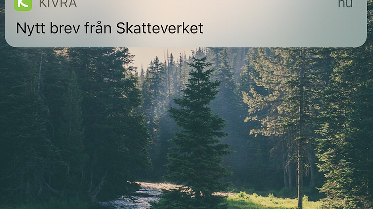​Skattebeskedet är här – ett digitalt vårtecken