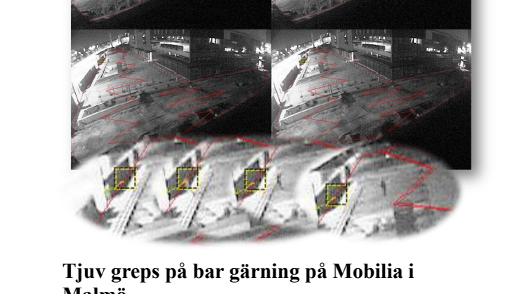 Tjuv greps på bar gärning på Mobilia i Malmö