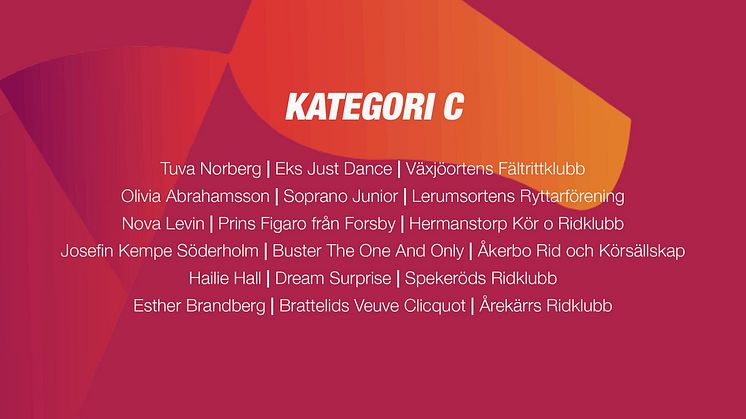 Kvalificerade Kategori C ekipage till Agria Pony Trophy Dressyr 2023