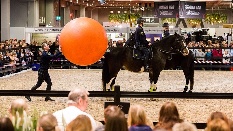 Nyheterna gick hem – ännu en succé för EuroHorse och Gothenburg Horse Show