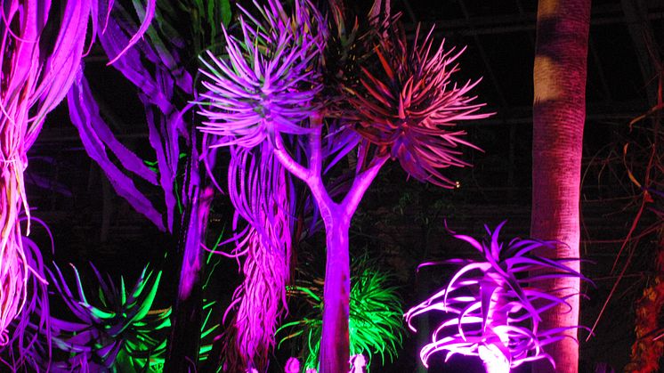 Botanischer Garten i München