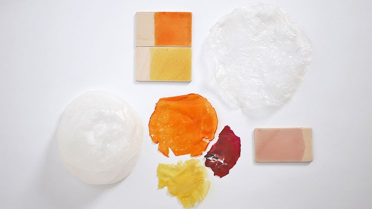 Out of Marine Algae – Kaori Agematsu