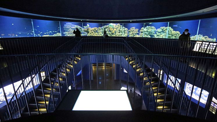 Aquarium im Zoo Leipzig -360 Grad-Ringbecken