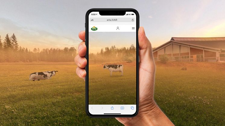 Arla XR-maailma Laitumen asukkaat aamulla.jpg
