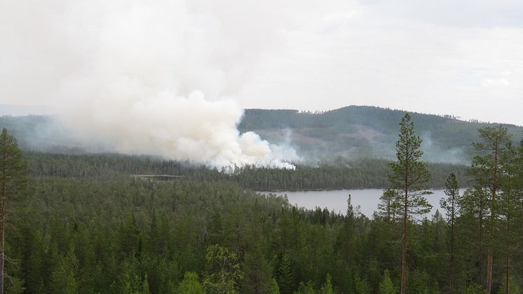 Var extra försiktig utomhus med allt som kan orsaka en brand. Under de extremt torra förhållanden som råder på många håll just nu så kan det räcka med en gnista. Foto: Leif Helldal, Länsstyrelsen i Dalarnas län 