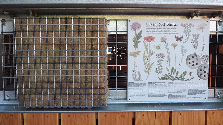 Green Roof bin store plant information panel
