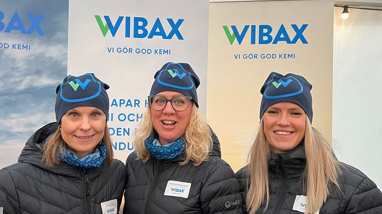 PS Saknar dig_Wibax