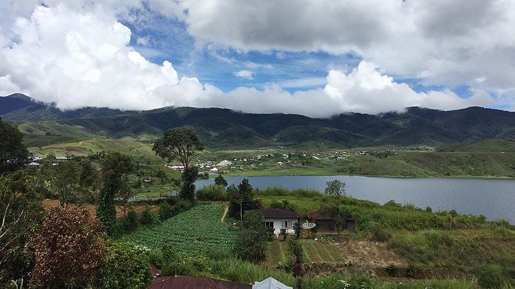 ​Swedfund Finances Renewable Energy in Developing Asian Countries