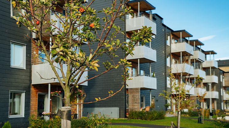 ​BoKlok UK exchange contracts on its first three development sites