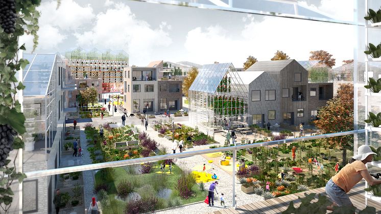 Lätt att leva hållbart i Sätra. Exempelvy från odlingsgrannskapet. Skissbild: Towatt Architect & Planners, Mandaworks AB