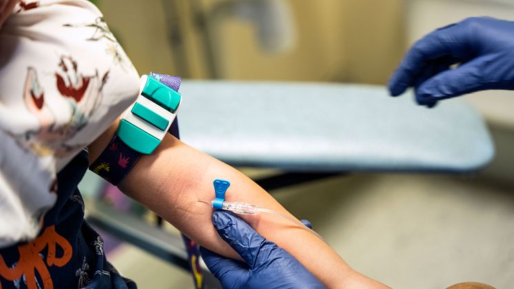 Ny studie: Virus med betydelse för utveckling av typ 1-diabetes. Foto: Johan Persson
