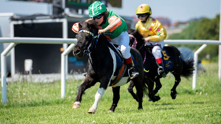 Nationaldagsgaloppen 2019