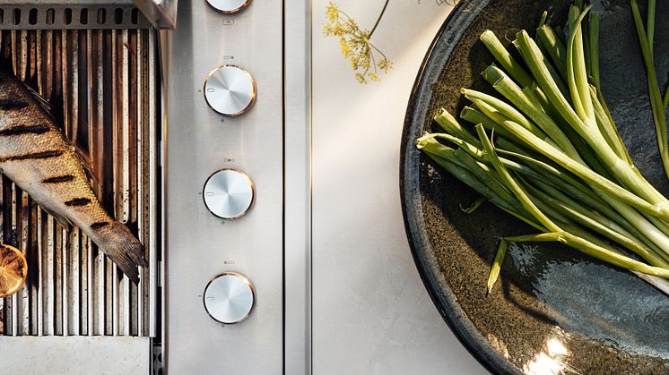 Ballingslöv Outdoor kitchen-Dekton Albarium (16)