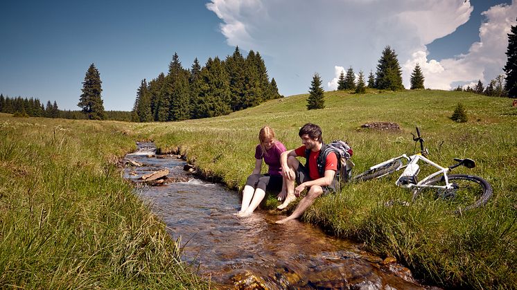 Sommerfrische bei einer Radtour durchs Erzgebirge 